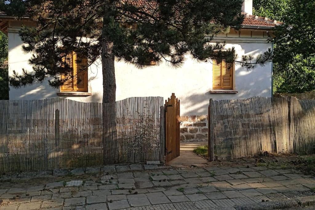 Ижата - Топлина И Уют Borovitsa Экстерьер фото